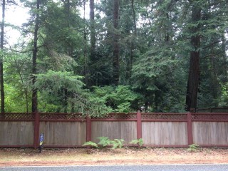 Picture of Point Roberts Parcel Number 415335-008048
